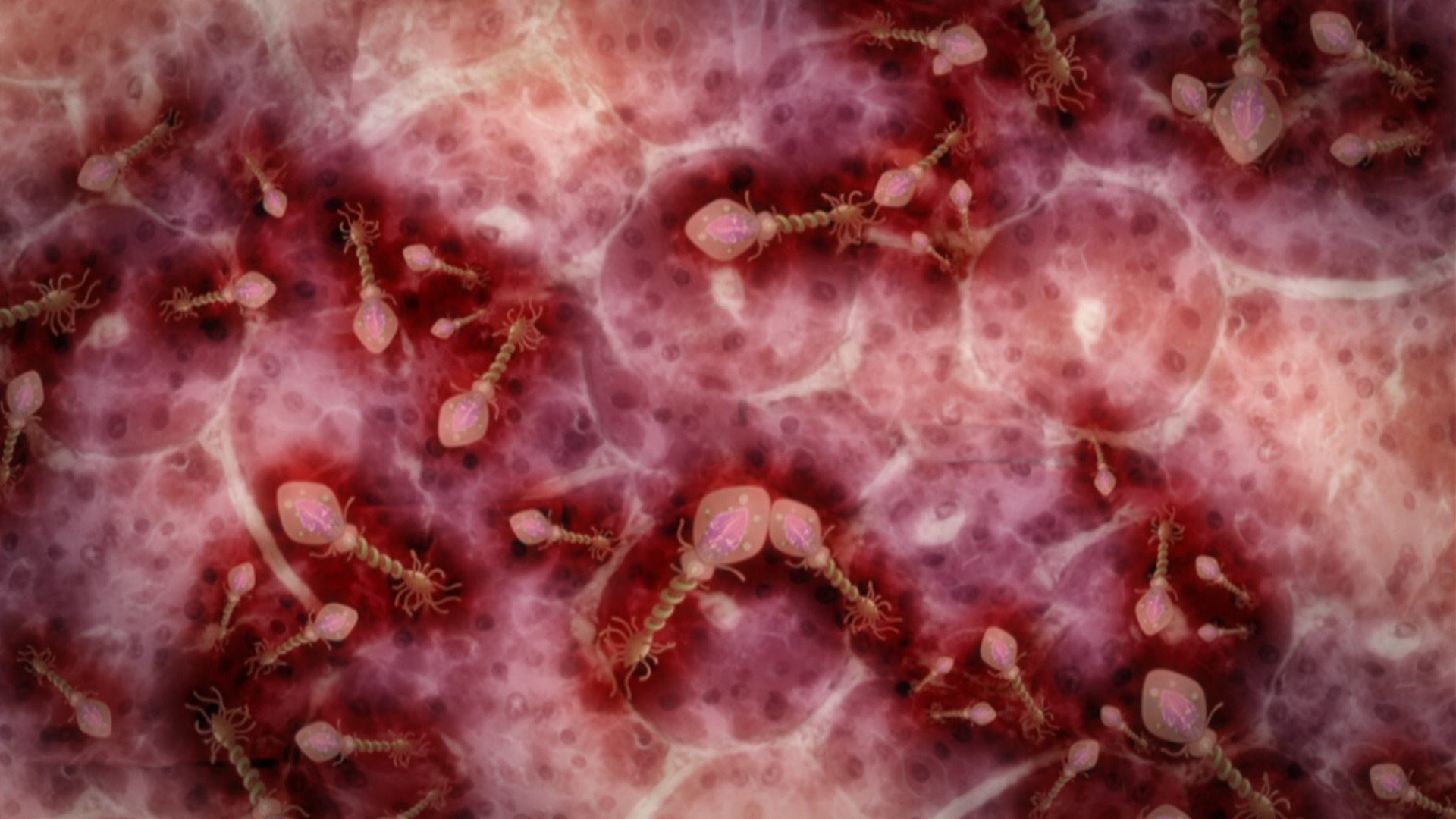Fold Microbes under microscope